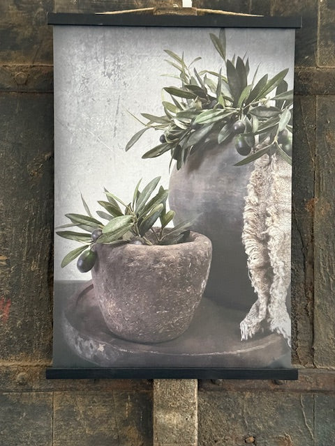 Tuinposter - Olijf