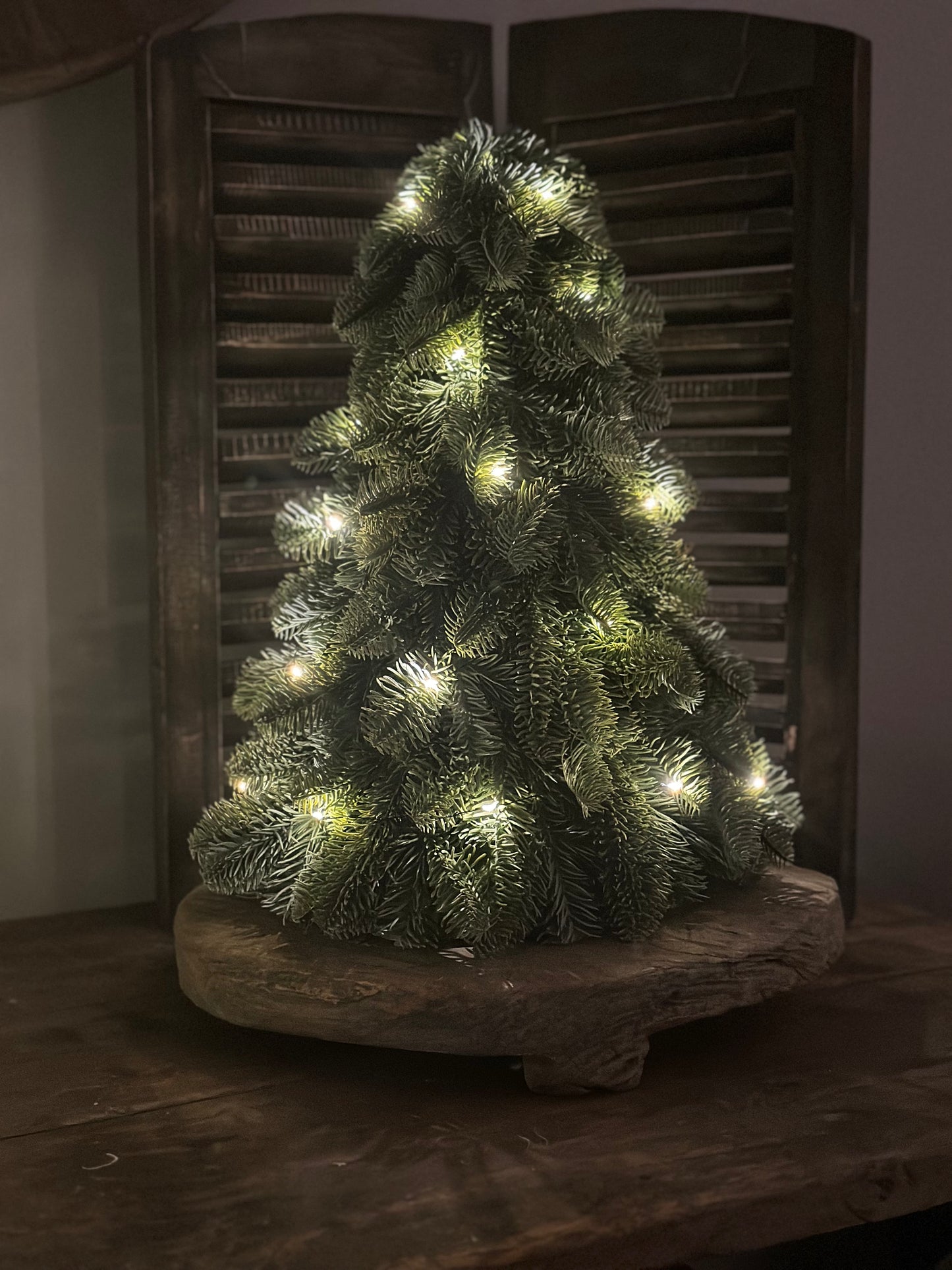 Nobilis kersboom (kunst)