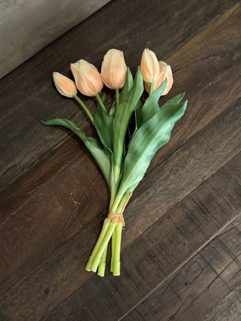 Tulp Peach