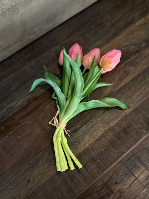 Tulp Roze