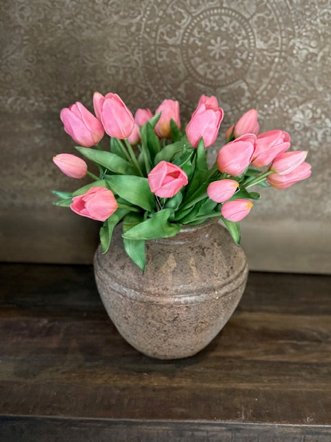 Tulp Roze