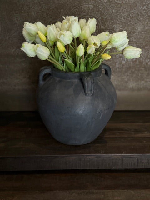 Tulp Wit