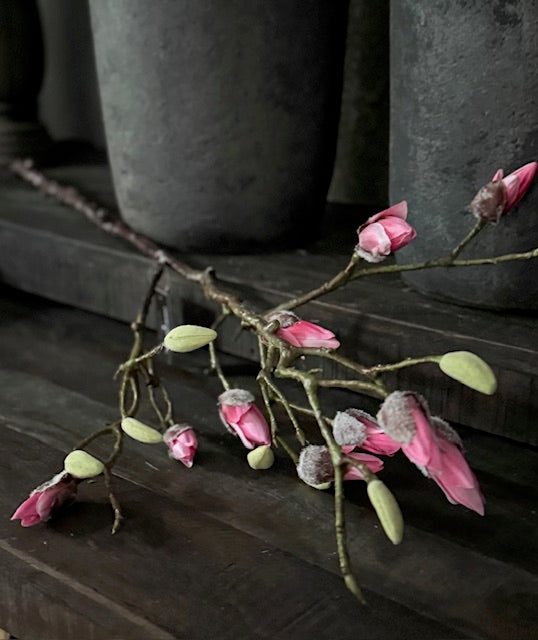 Magnoliatak donkerroze