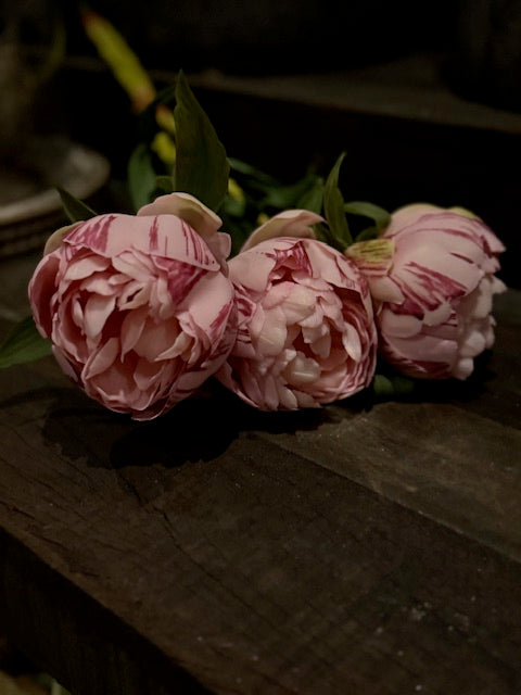 Pioenrozen groot - Roze