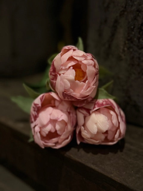 Pioenrozen klein - Roze