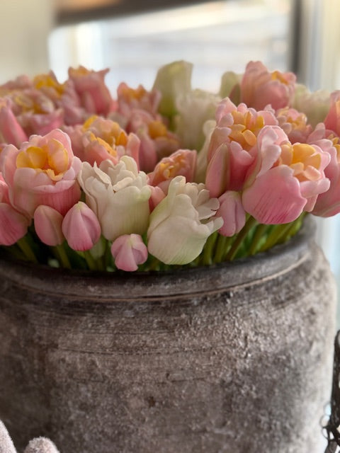 Parrot tulp Lichtroze